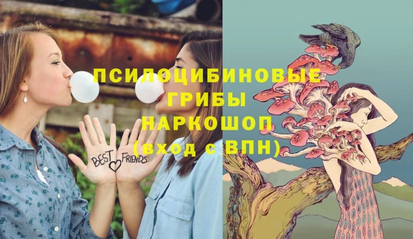 а пвп мука Заволжье