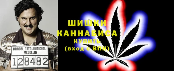 синтетический гашиш Заводоуковск