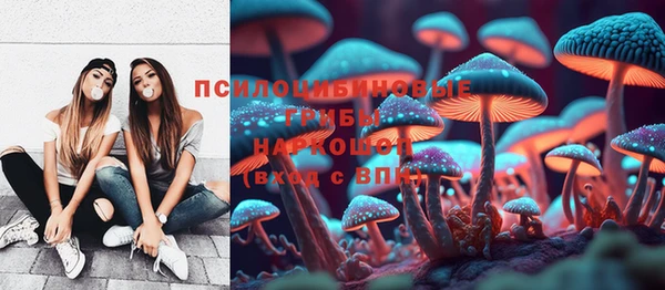 МДПВ Заволжск