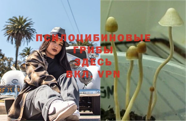 МДПВ Заволжск