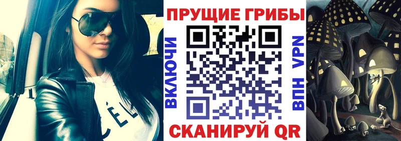 Купить  Новоалтайск  Галлюциногенные грибы GOLDEN TEACHER 